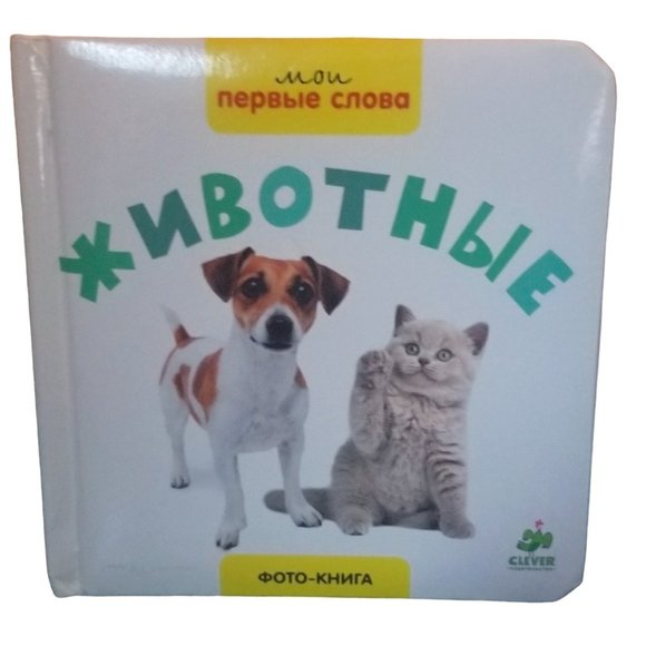 Children's Book | 10 Animals | Zhivotnye | Foto-kniga | Russian Edition - Picture 1 of 16